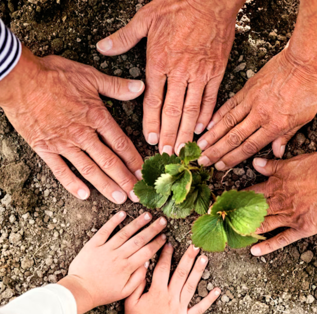 تمكين المجتمعات